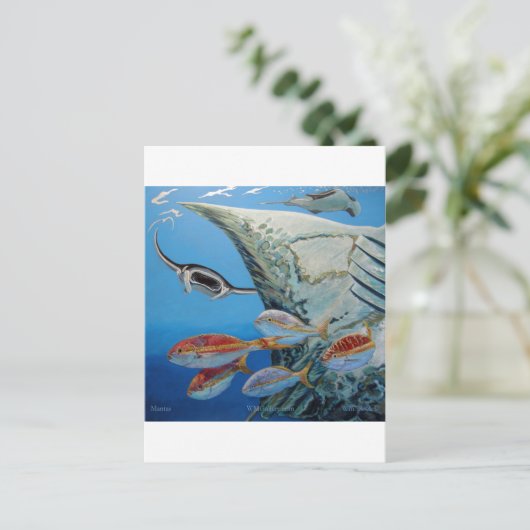 manta rays briefkaart (Staand voorkant)