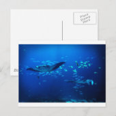 Manta Rays Briefkaart (Voorkant / Achterkant)