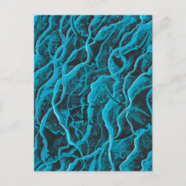 Manta Rays Ocean Fish Animals Waves Blue Black Art Briefkaart