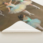 Manta Sherpa Bailarinas esperando el momento de ac Sherpa Deken (3/4)