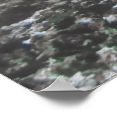 Manta van dichtbij poster (Hoek)