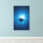 Manta zwemt onderwater canvas afdruk (Insitu (Houten vloer))