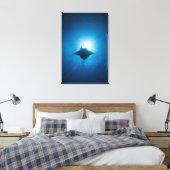 Manta zwemt onderwater canvas afdruk (Insitu (Slaapkamer))
