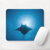 Manta zwemt onderwater muismat (Met muis)