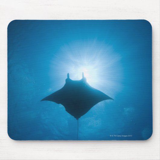 Manta zwemt onderwater muismat (Voorkant)