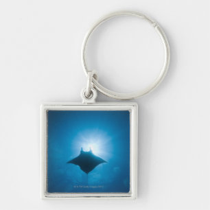 Manta zwemt onderwater sleutelhanger