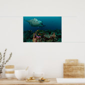 Mantarays over anemon - Poster (Keuken)