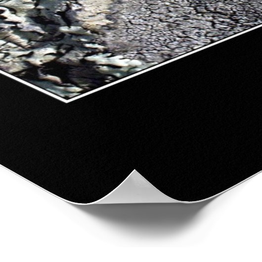 Mante Religieuse Poster (Hoek)