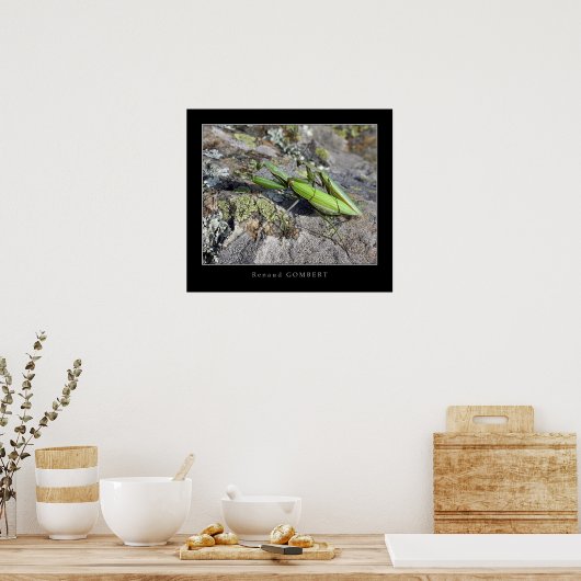 Mante Religieuse Poster (Keuken)