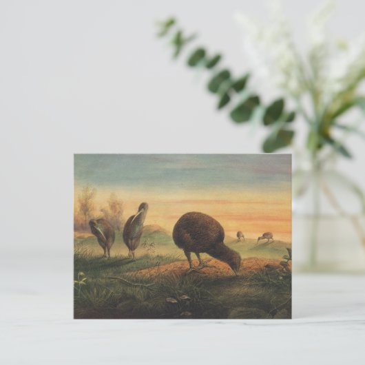 Mantell's Apteryx van Joseph Wolf Briefkaart (Staand voorkant)