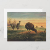 Mantell's Apteryx van Joseph Wolf Briefkaart (Voorkant / Achterkant)