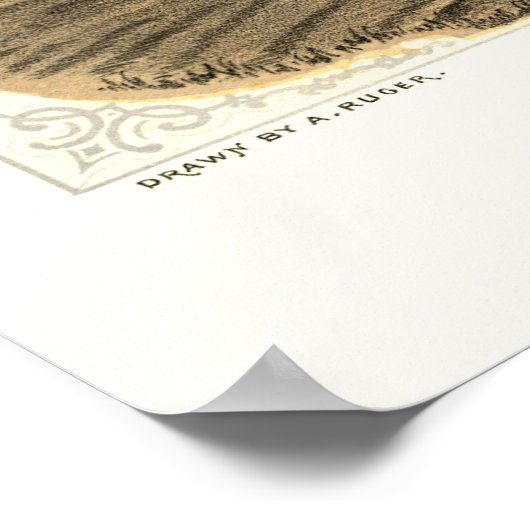 Manteno, IL Panorama - 1869 Poster (Hoek)