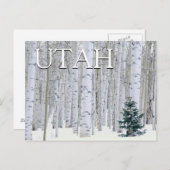 Manti-LaSal National Forest, Utah Briefkaart (Voorkant / Achterkant)