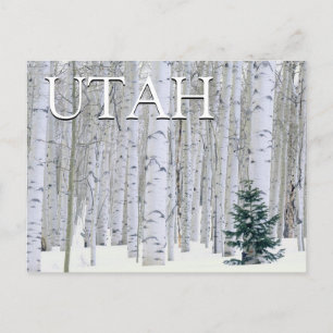 Manti-LaSal National Forest, Utah Briefkaart