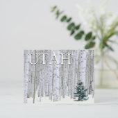 Manti-LaSal National Forest, Utah Briefkaart (Staand voorkant)