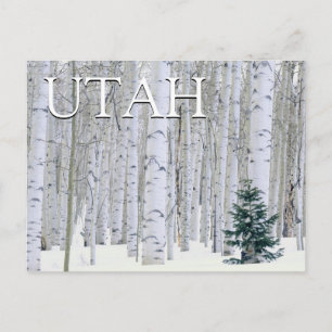 Manti-LaSal National Forest, Utah Dank je Briefkaart