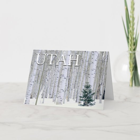 Manti-LaSal National Forest, Utah | Dank u Bedankkaart (Voorkant)