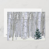 Manti-LaSal National Forest, Utah | Gefeliciteerd Briefkaart (Voorkant / Achterkant)