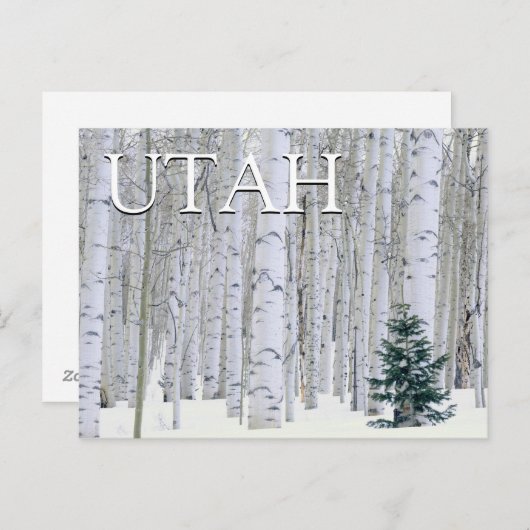 Manti-LaSal National Forest, Utah | Gefeliciteerd Briefkaart (Voorkant / Achterkant)