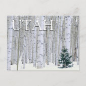Manti-LaSal National Forest, Utah | Gefeliciteerd Briefkaart (Voorkant)