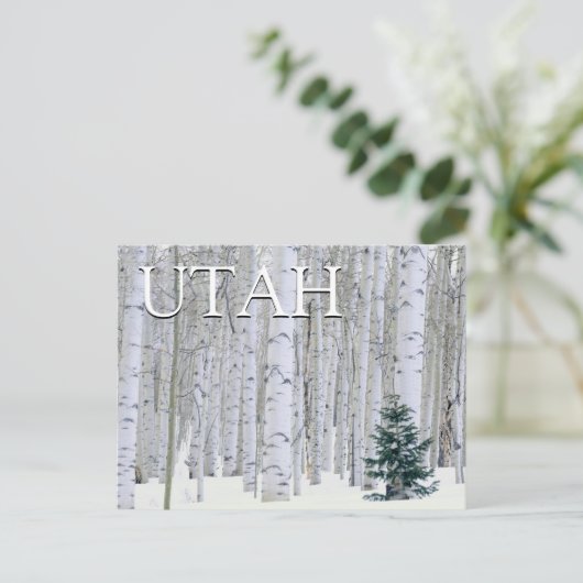 Manti-LaSal National Forest, Utah | Gefeliciteerd Briefkaart (Staand voorkant)