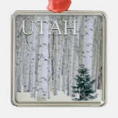 Manti-LaSal National Forest, Utah Metalen Ornament (Voorkant)