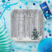 Manti-LaSal National Forest, Utah Papieren Bordje (Feest)