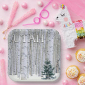 Manti-LaSal National Forest, Utah Papieren Bordje (Feest)