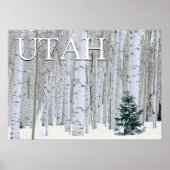 Manti-LaSal National Forest, Utah Poster (Voorkant)