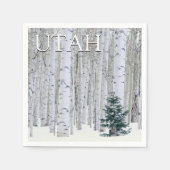 Manti-LaSal National Forest, Utah Servet (Voorkant)