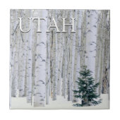 Manti-LaSal National Forest, Utah Tegeltje (Voorkant)