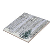 Manti-LaSal National Forest, Utah Tegeltje (Zijkant)