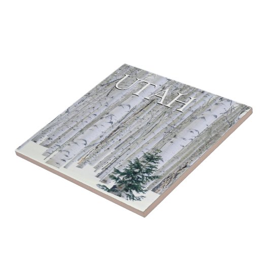 Manti-LaSal National Forest, Utah Tegeltje (Zijkant)