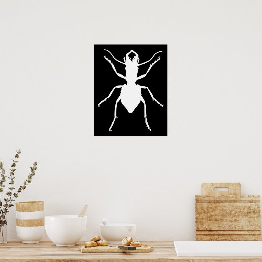 Manticora tuberculata poster (Keuken)