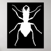 Manticora tuberculata poster (Voorkant)