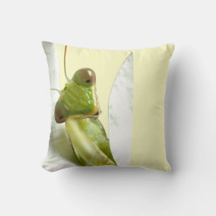 Mantid Kussen