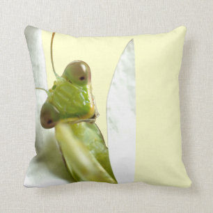 Mantid Kussen