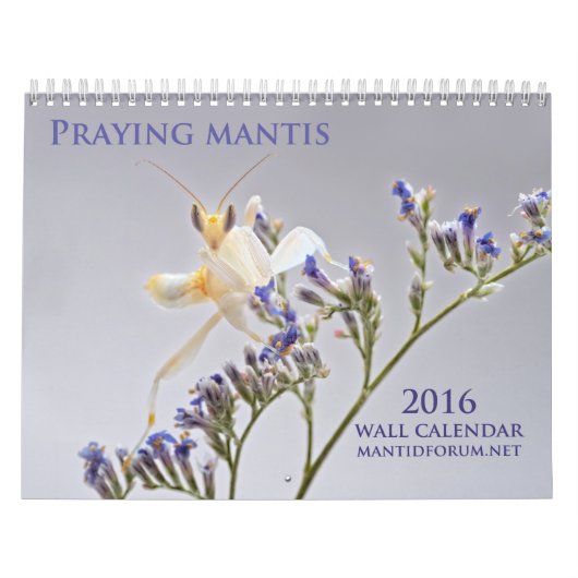 Mantidforum.net 2016 Praying Mantis Wall Calendar Kalender (Hoes)