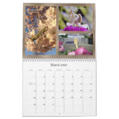 Mantidforum.net 2016 Praying Mantis Wall Calendar Kalender (Mar 2026)