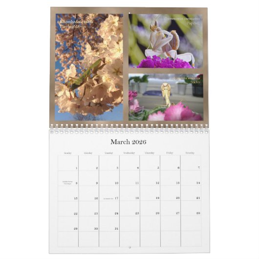 Mantidforum.net 2016 Praying Mantis Wall Calendar Kalender (Mar 2026)