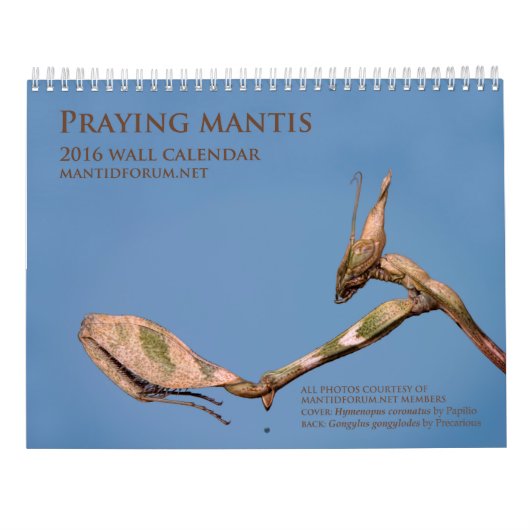 Mantidforum.net 2016 Praying Mantis Wall Calendar Kalender (Achterkant)