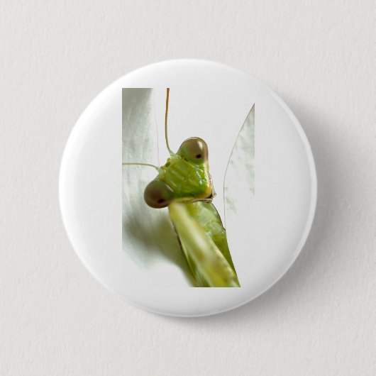 Mantids Ronde Button 5,7 Cm (Voorkant)