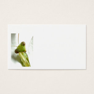 Mantids Visitekaartjes