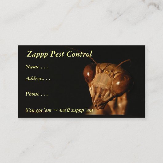 Mantis 15 ~ visitekaartje (Voorkant)