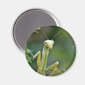 Mantis 475 magneet (Voorkant / Achterkant)