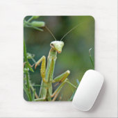 Mantis 475 Mousepad Muismat (Met muis)
