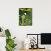 Mantis 475 Poster (Thuiskantoor)