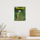 Mantis 475 Poster (Keuken)