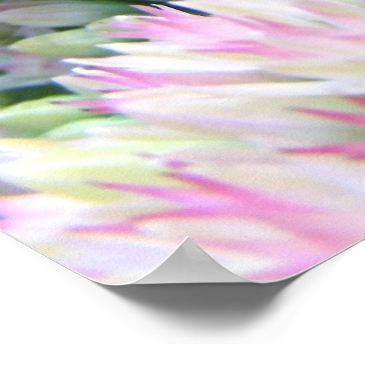 Mantis 79 ~ print (Hoek)