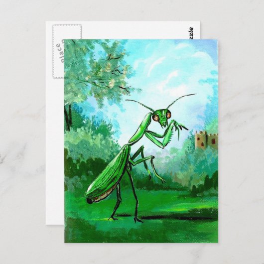 Mantis Briefkaart (Voorkant / Achterkant)